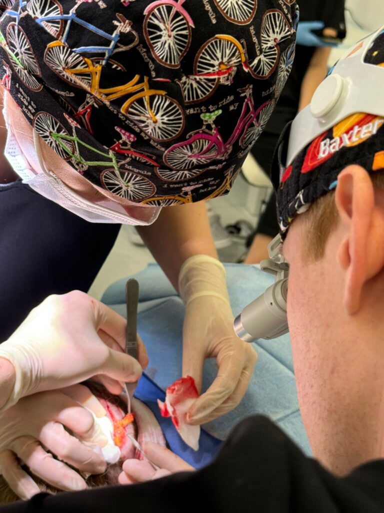 35f9740d 11a8 49d8 8983 34d6d13b7721