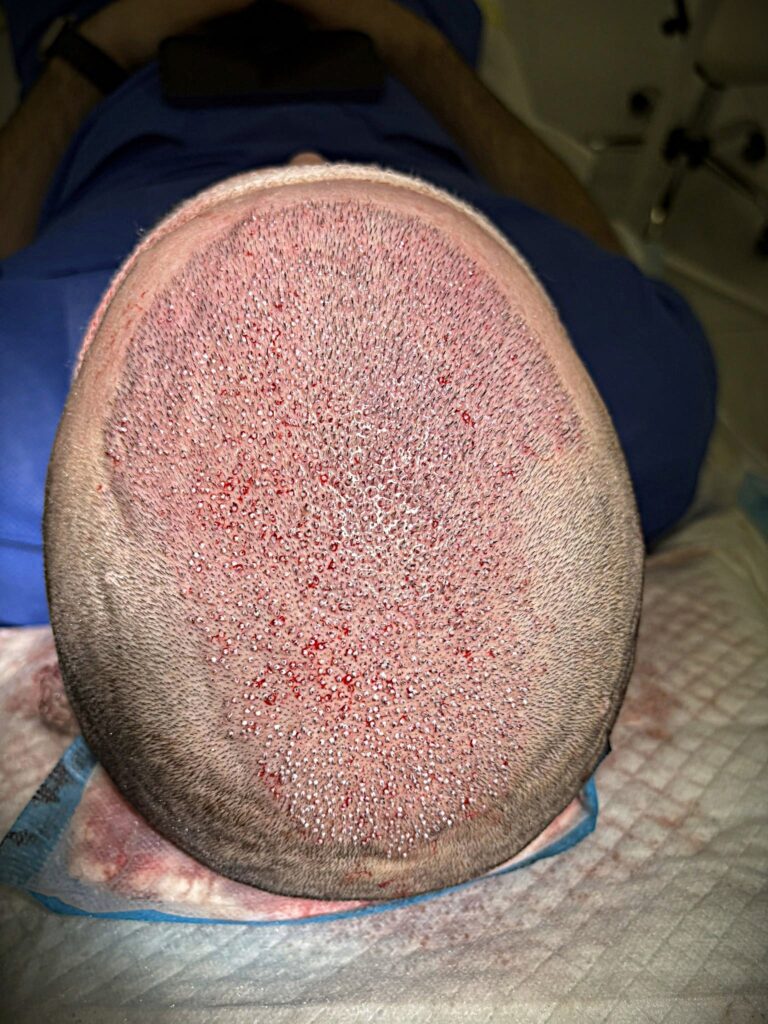 3dc8dec5 b78a 4261 ae53 c1371499897e